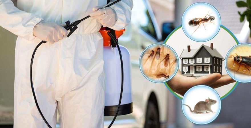 Seyrekköy Böcek İlaçlama