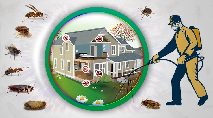 Seyrekköy Böcek İlaçlama