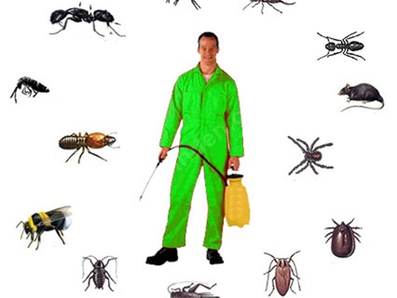 Seyrekköy Böcek İlaçlama